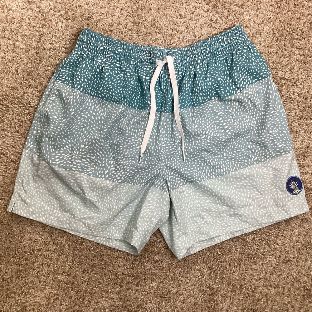 Chubbies The Whale Shark Swim Trunks Lg